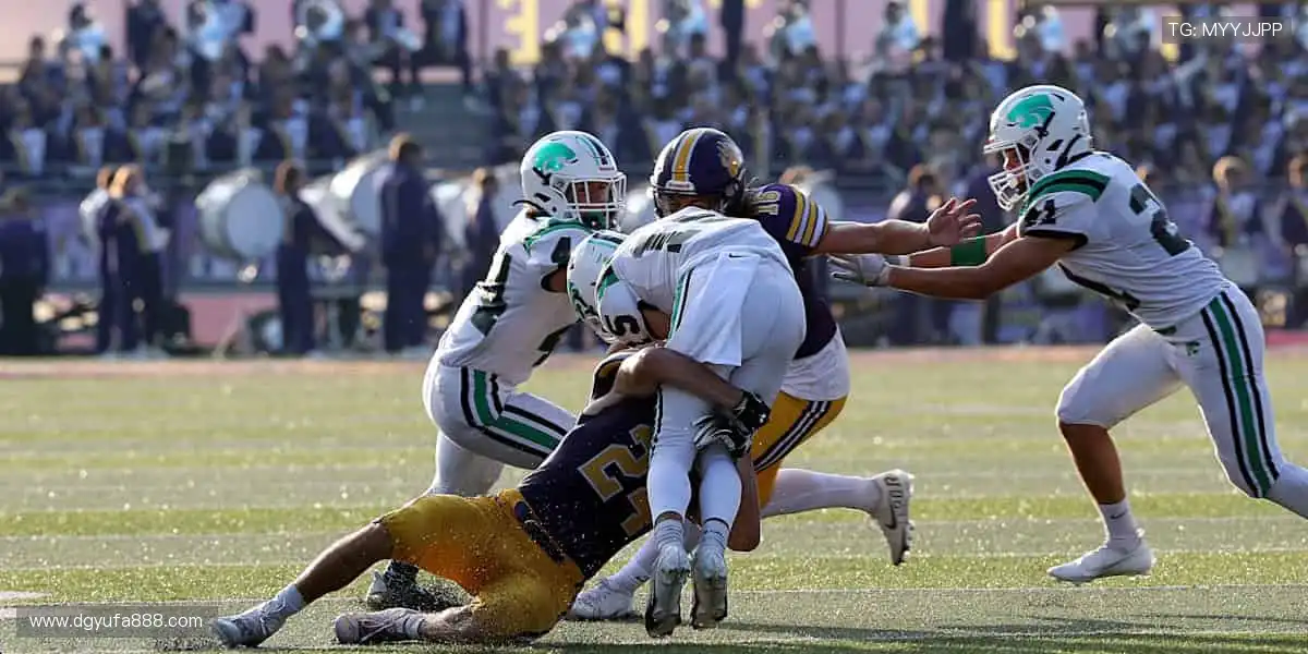高清直播直击现场，互动狂欢点燃激情🏀
