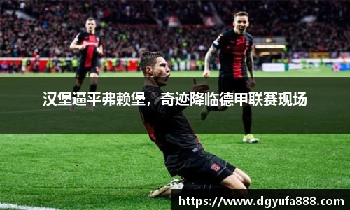 汉堡逼平弗赖堡，奇迹降临德甲联赛现场