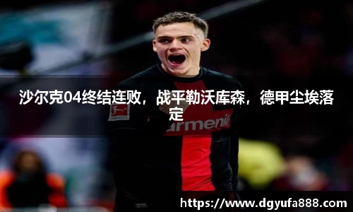 沙尔克04终结连败，战平勒沃库森，德甲尘埃落定